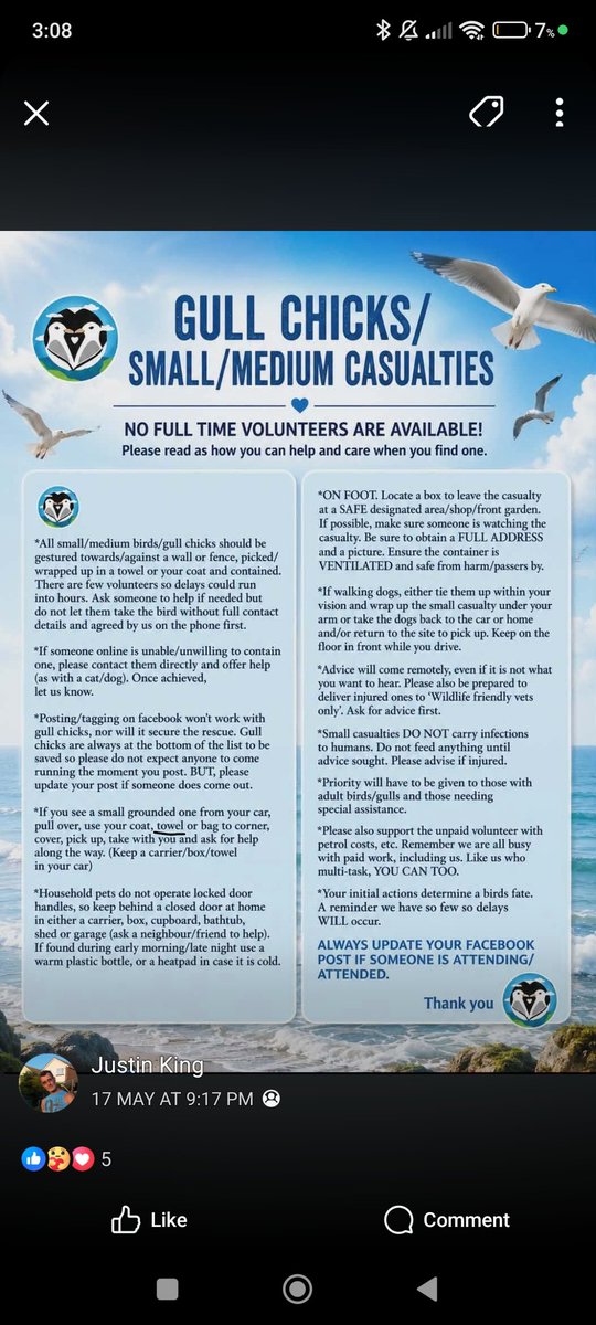 Ssolvazz's tweet photo. @MrEliIsHere @PhilWil21202903 @TheCanaryUK It's recommended to use whatever you have on you so a towel, blanket, sheet, bag  or carrier and last I checked towels are a lot thicker than sheets.

https://t.co/BVNxW76QAQ https://t.co/jvJRwue3Fl