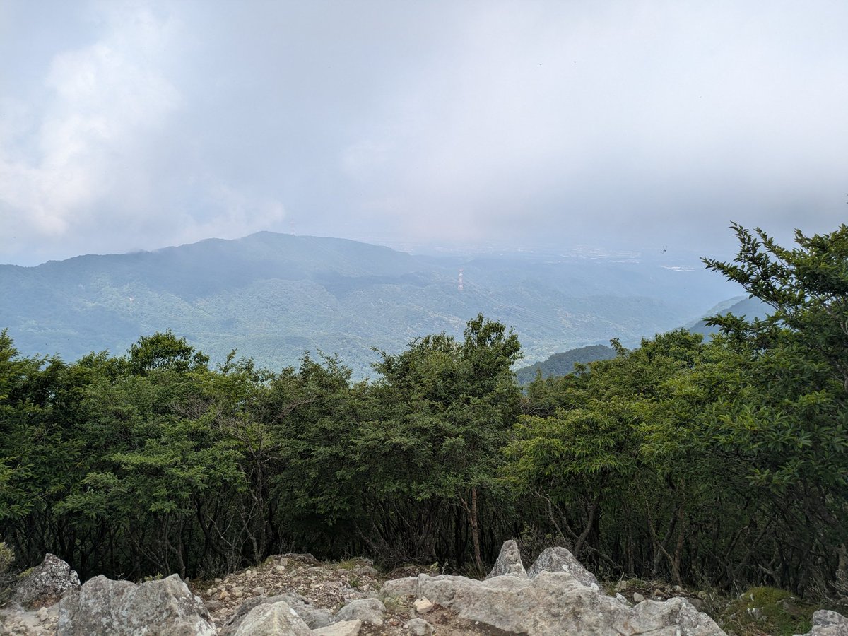 uranic0's tweet photo. 赤城山黒檜山山頂！
たくさんのトンボが飛び回ってる。 https://t.co/h0e88KhyUw