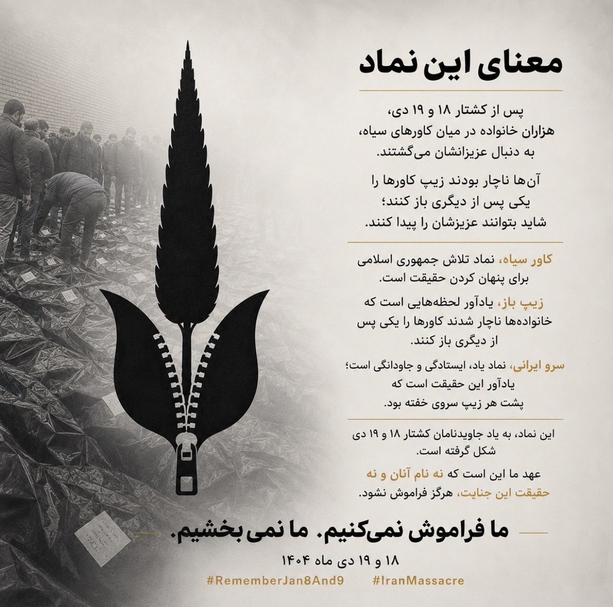 BeMyVoiceIran's tweet photo. به یاد فرزندان ایران و جان‌فدایان میهن، 
و با احترام به خانواده‌های جاویدنامان! 
#IranMassacre‌ 
#RememberJan8And9 https://t.co/OZA2sg8VlE