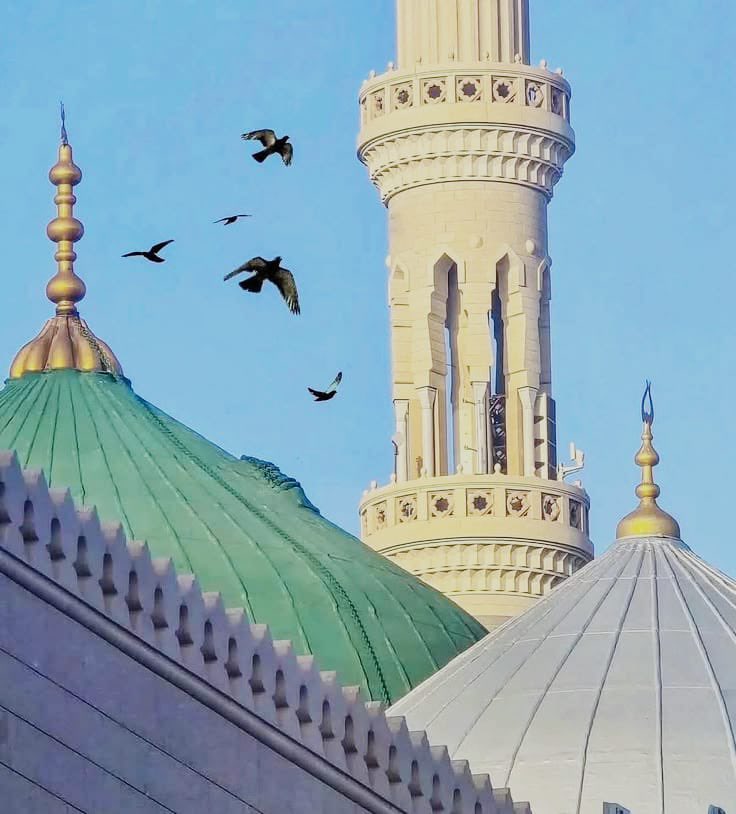 AB__LHRI's tweet photo. فراقِ مدینہ میں دل رو رہا ہے🥺❤️‍🩹
السلام علیک یا رسول اللّٰہ ﷺ🥹🫀 https://t.co/Z7xx3NPHVl