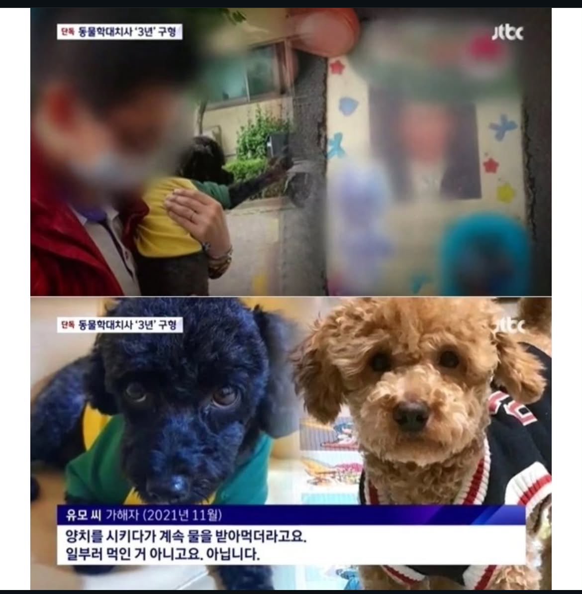 dewloomy's tweet photo. 미친 거 아니야….? 17마리를 물고문으로 죽여..?

아내와 불화로 스트레스를 풀기 위해 푸들을 입양해 죽인 공기업 직원…?
17마리 이외에도 입양한 푸들이 10마리 더 있다고 함…구형도 3년 밖에 안 했대…

눈 뜨면 한남 범죄 기사 밖에 안 보이네
같은 인간이라고 하기도 싫다

2023년 기사임 최종 1년6개월 선고 받고 구속 됐는데 지금 나와서 어떤 범죄 저지르고 있을지