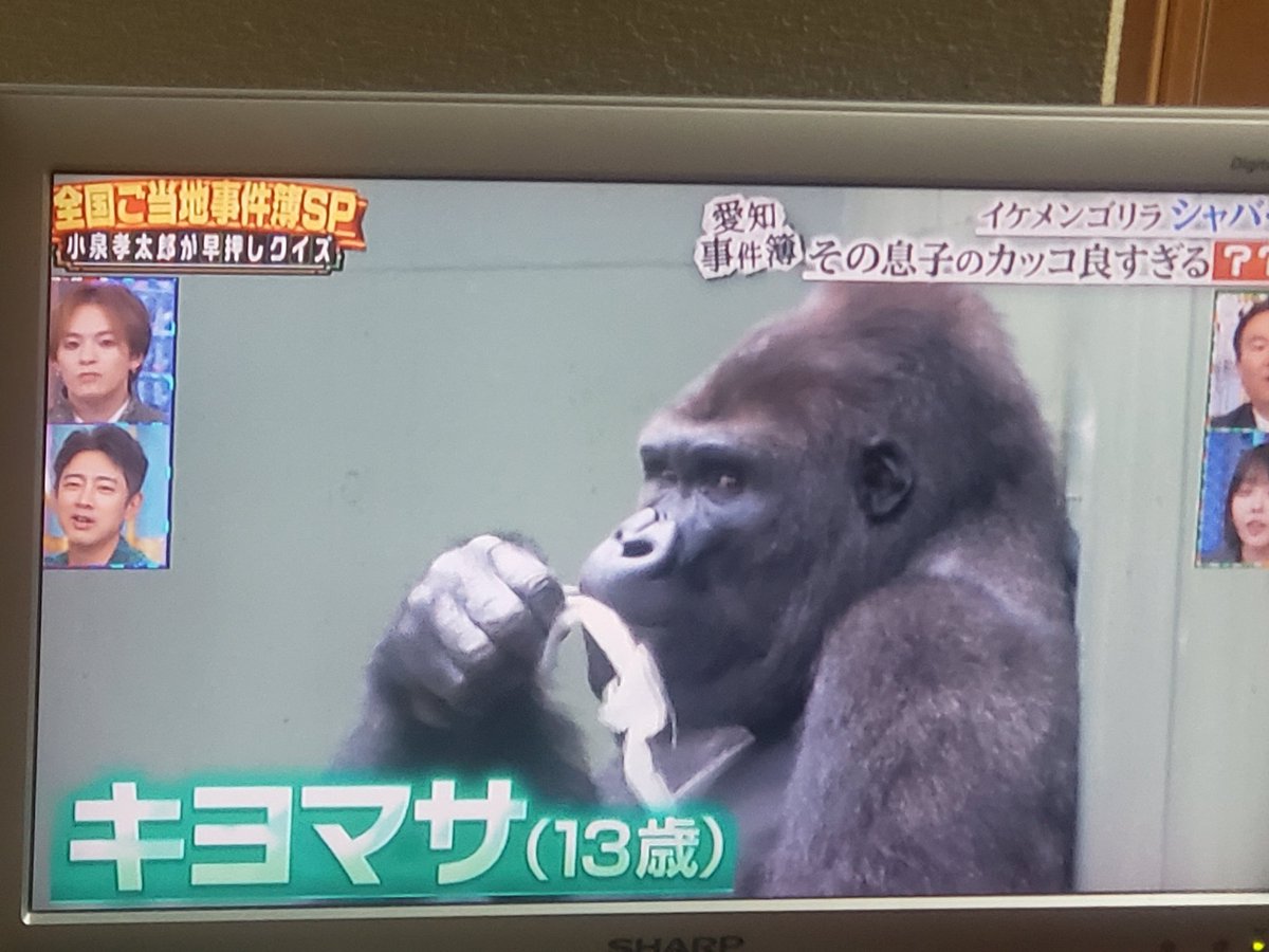 Okkotsu tweet media