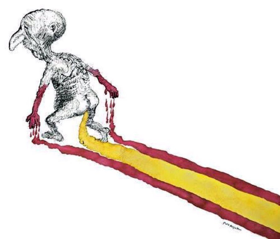 Xec Català tweet media
