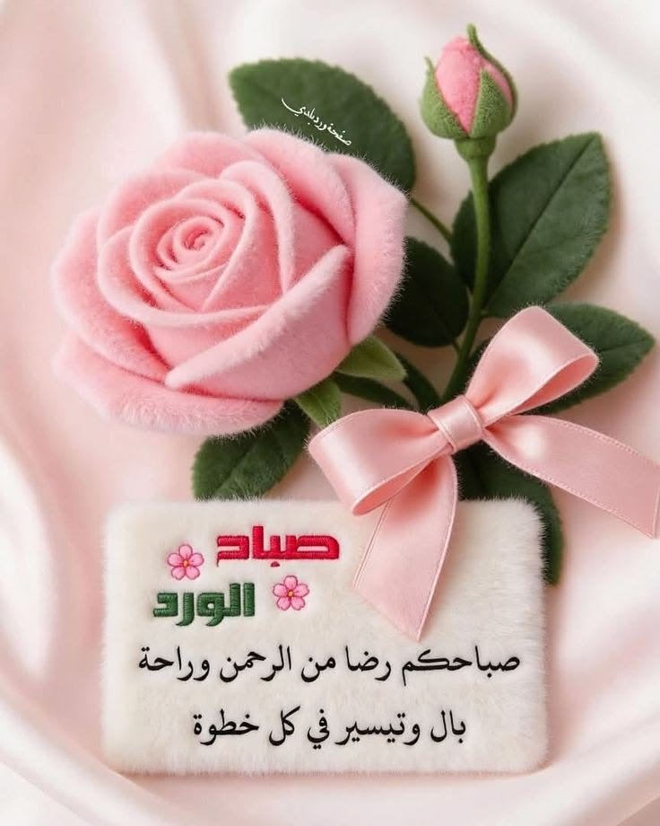 Reda tweet media
