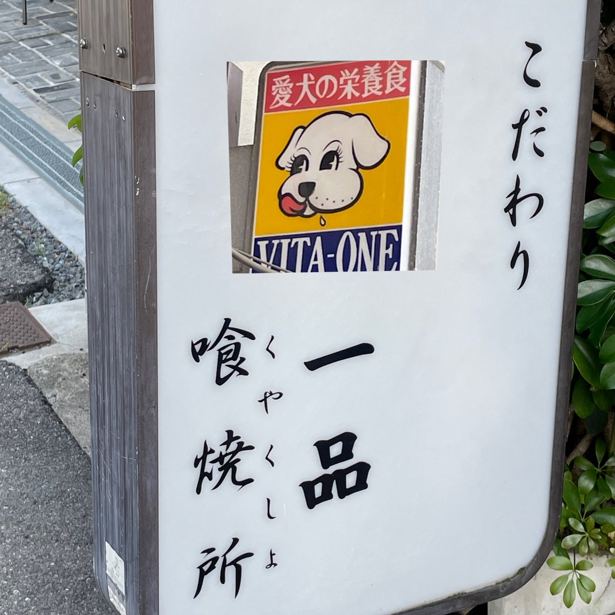 yacchiphoto's tweet photo. #ふたコマ写真 
1 犬専門
2 いろいろな字さがり https://t.co/XeifYsb1rv
