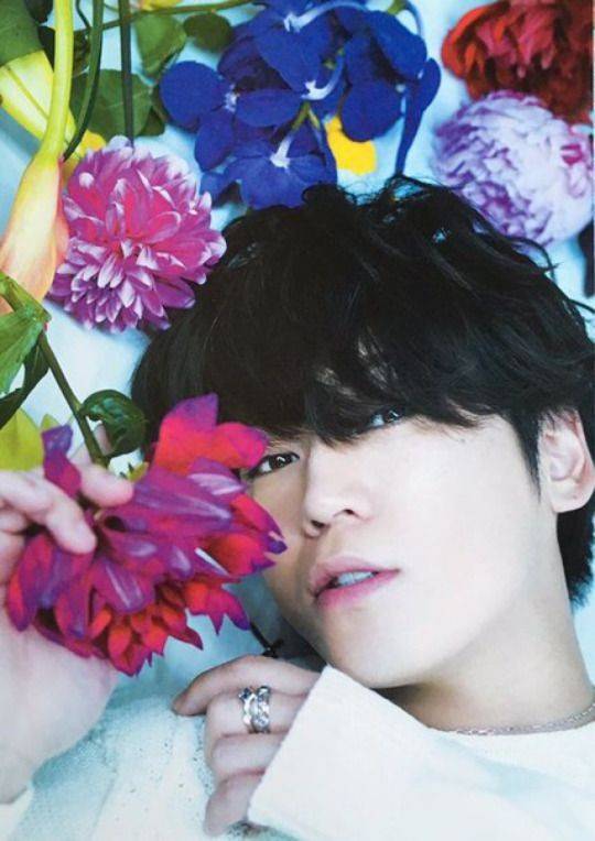 jennie_annie's tweet photo. A #Kame pic a day! No. 4383 https://t.co/yIkP0vWnqG