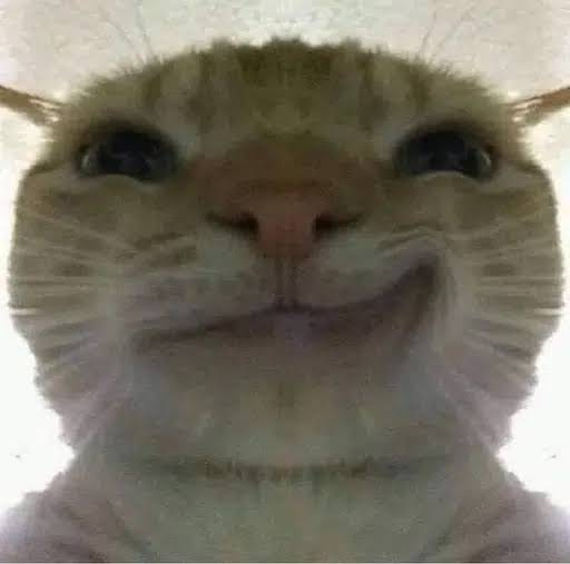 SMIRKCATOG's tweet photo. Here is a plain PNG to start a PFP cult

xcom https://t.co/jnVQ7AgTw0 https://t.co/CHujqsB1gj