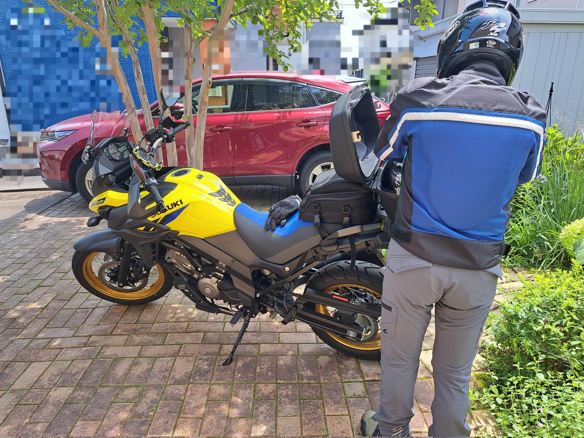 s_marron2008's tweet photo. 旦那さんがバイクで一回りの準備中に「ナツツバキに鳥の巣ができてるよ✨️」
家の壁を塗り直してザラザラからツルツルになる前は毎年ツバメが３組も４組も巣だったしアオダモの木を倒すまではヒヨドリが子育てをしていて鳥の楽園だったマロンママのお家✨️
久しぶりの鳥の巣🕊居るのか巣だったのか🫡 https://t.co/ojVFTBGnQx