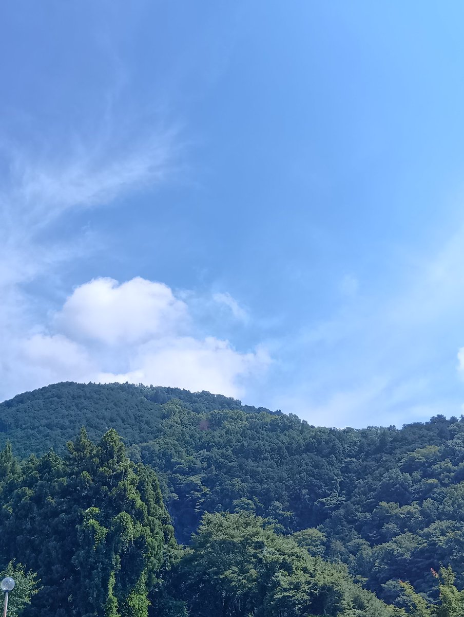 hide_07_77's tweet photo. おはようございます🍀 https://t.co/aYU6rVPAhp