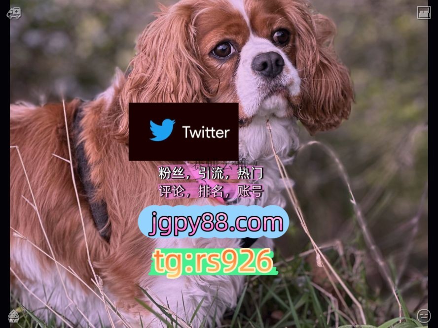 epnas0's tweet photo. 📞点赞号
粉丝号🧭推特脚本💫
推特软件🦲上热门账热门号
代发👠推外特
🍝长春账号🎑
围爸妈都很开心为他感到骄傲🤹