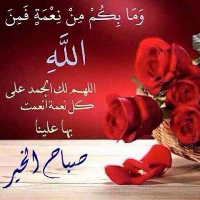 asshm77's tweet photo. https://t.co/du7OQJHb2A