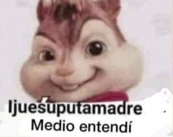 barbs 🇲🇽 tweet media