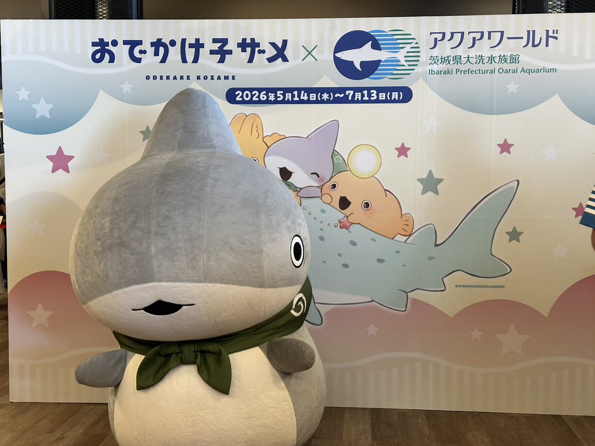 kozame_info's tweet photo. アニメ『#おでかけ子ザメ』
🦈アクアワールド・大洗🦈

本日のグリーティングイベント整理券は、
予定枚数の配布を終了しました。

⭐️コラボは7/13（月）まで！
⭐️スタンプラリーの景品は「ぷくぷくシール」🫧

残り少ない期間となりますが、
ぜひ最後までお楽しみください✨ https://t.co/6rOKpREffS