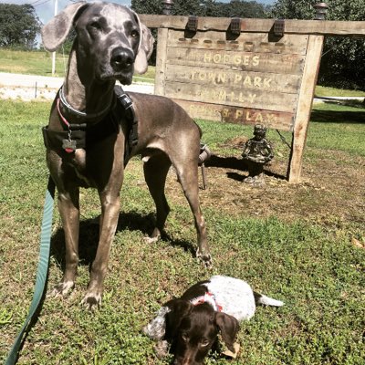 RitchieEmerson's tweet photo. #NewProfilePic https://t.co/r6A8hiWGqA