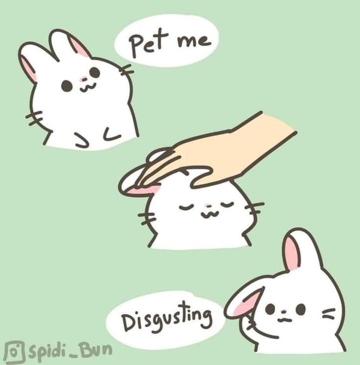 thepawmic's tweet photo. https://t.co/rZX1jysw93