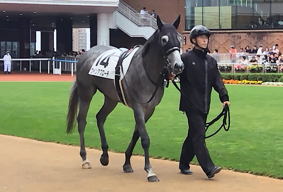akachamp5972's tweet photo. 函館４Ｒはウインピクシスの弟ウインアプローチがデビュー５戦目で初勝利🐴

丹内騎手は１Ｒから４連勝で午前中全勝✨その旨がアナウンスされるとスタンドからは大きな拍手が沸き起こりました👏
これで函館リーディングでも暫定トップに立ちました⤴️

#ウインアプローチ
#丹内祐次
#ウインピクシス https://t.co/F7U6f31GRn