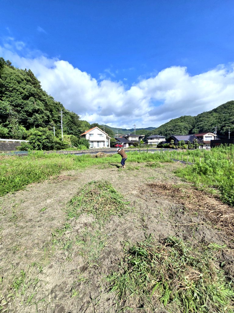 mashida_support's tweet photo. 残り200ヤード、やや打ち上げ、風は若干のフォロー、3番ユーティリティ

手応えはいい、乗ったかな？
#はたけの村づくり
#今日は草抜き https://t.co/mh4d0ZmAIo
