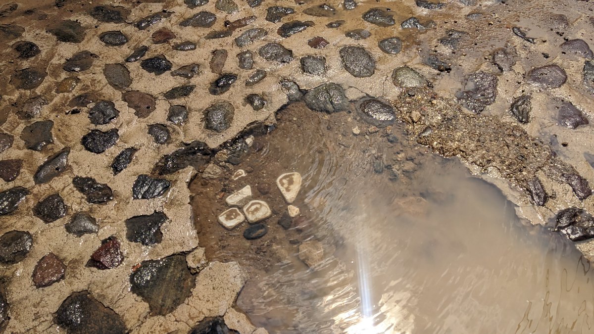 wuilipm's tweet photo. Está fuga se ha reparado 4 veces pero nunca queda,está última ya tiene 5 días,se reporta y no vienen ,cada vez está peor,está en la calle de artes casi esquina con ave María en villa Coyoacán 
Delegación Coyoacán @Alcaldia_Coy
@giogutierrezag @SEGIAGUA @telediario @juanmapregunta https://t.co/TyBrbdU5FH