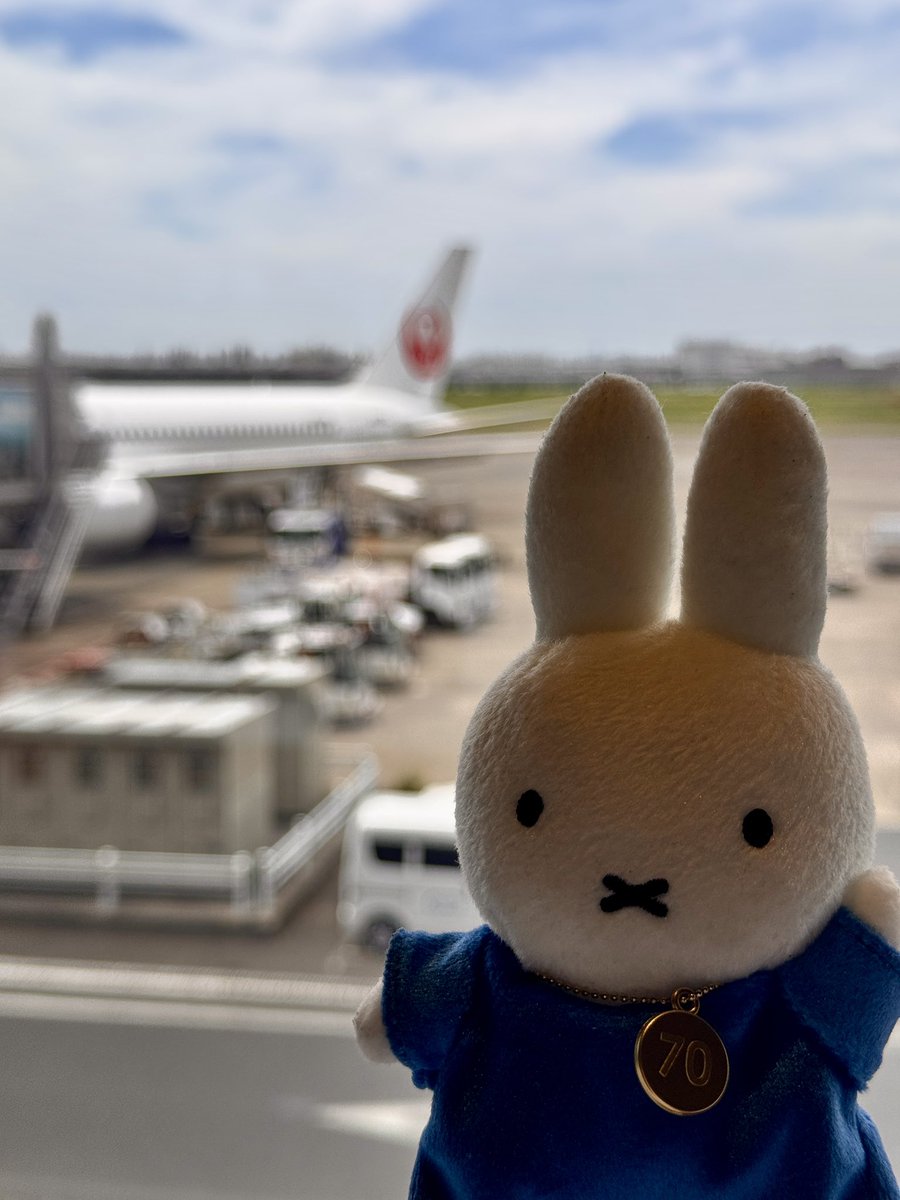 dst0m's tweet photo. きょうは　おでかけの　ひ https://t.co/fsSqw52PFN