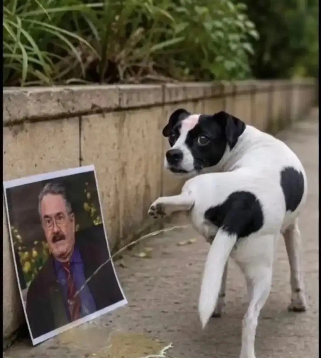 navigueitor's tweet photo. Quién guste mándarle sus saludos al tío Pedrito, firulais se los agradece 🐕🐩🐶🐾 https://t.co/tWFwh4JoeL