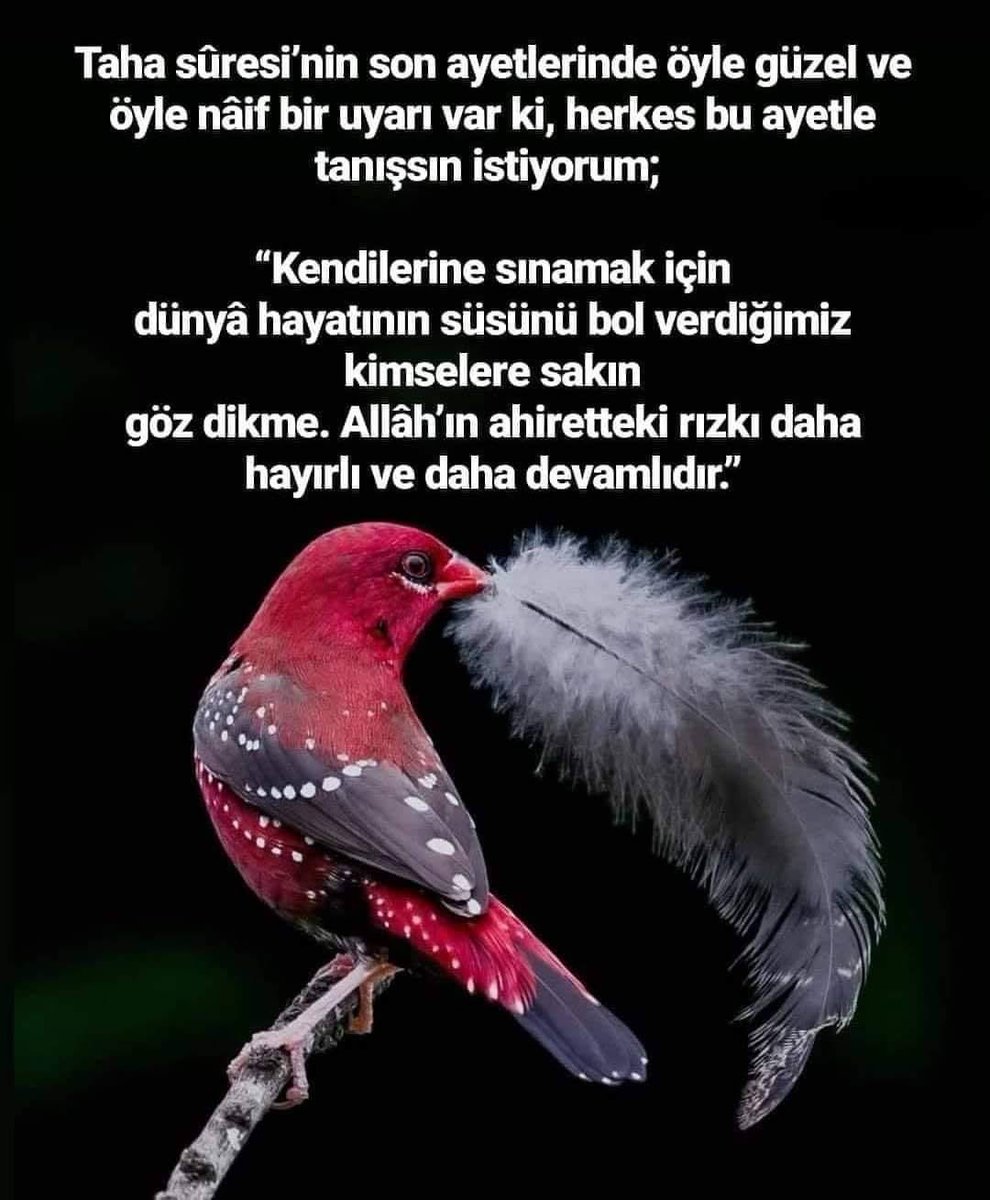 camisaf123's tweet photo. Bismillahirrahmanırahim https://t.co/VMEh9nlprC