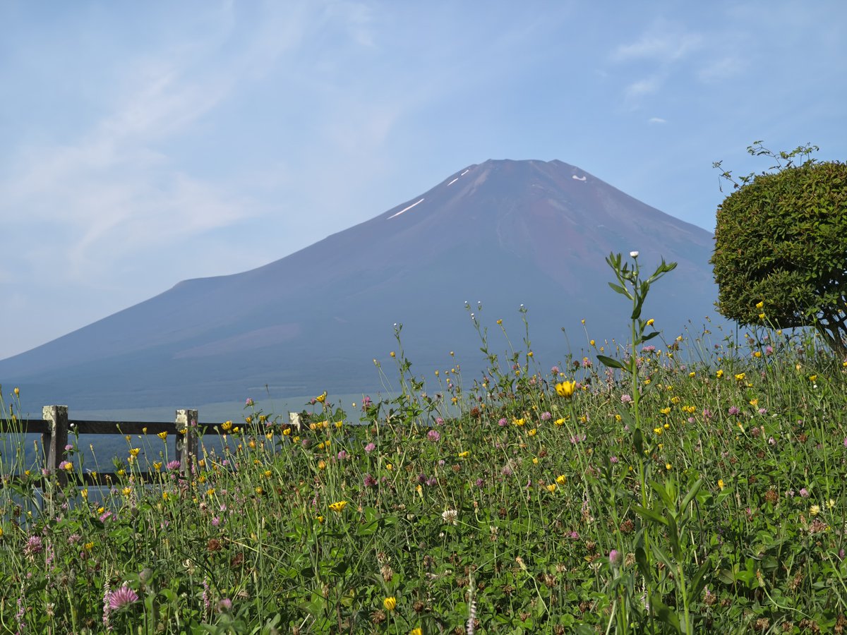 LucenK_Lower's tweet photo. 暑くなるので朝ツーとして６時発～道志・都留方面…と思いきや「富士山行ったれ」と急遽山中湖畔へ。大月で朝食して中央道の側道で帰宅。１０時半でもう日照りバリバリ…
後半の写真は大野展望台で最後の写真の右端に富士山がチラリ。
#ツーリング #GSX250R #富士山 https://t.co/YCuyUPeK13