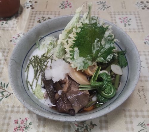 magpie_sendai's tweet photo. 【１１】長野)長野道で戸隠へ② https://t.co/bPEe5oNSUl https://t.co/kHdOff7Nwr