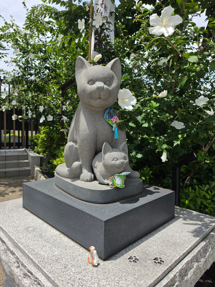 hiro45Y's tweet photo. 猫さん多め。だがそれがイイ！
#妙義神社 https://t.co/nbODx7Zk9m