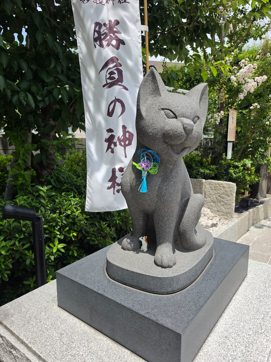 hiro45Y's tweet photo. 猫さん多め。だがそれがイイ！
#妙義神社 https://t.co/nbODx7Zk9m