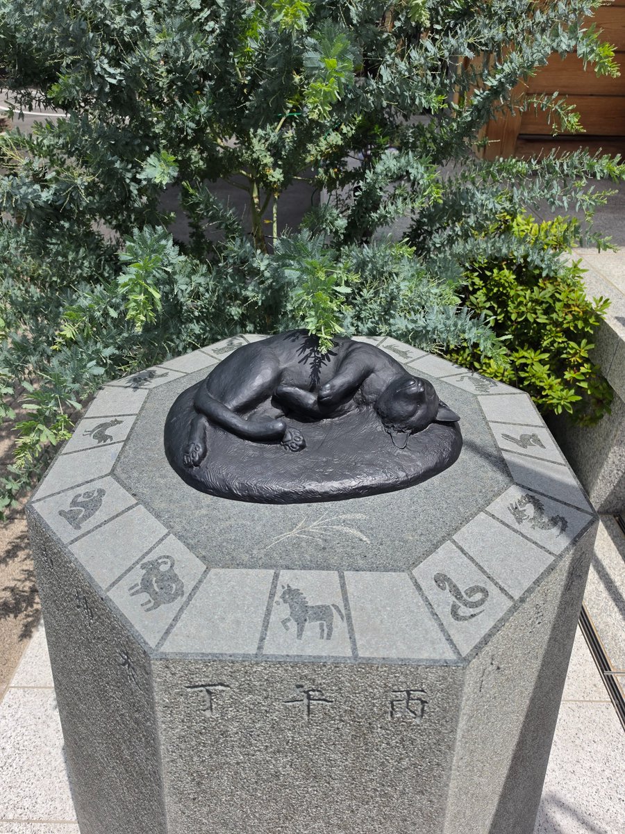 hiro45Y's tweet photo. 猫さん多め。だがそれがイイ！
#妙義神社 https://t.co/nbODx7Zk9m