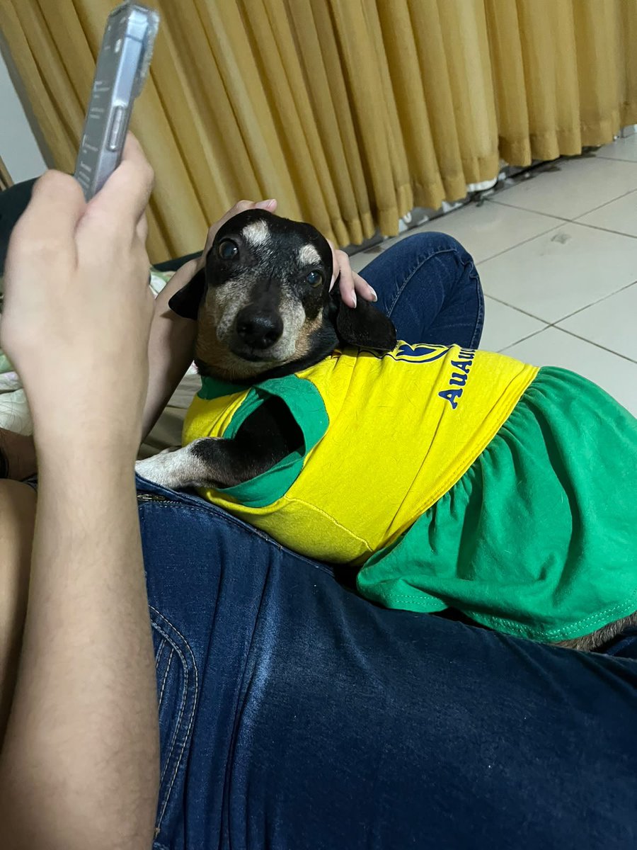 silveirarquivo's tweet photo. toda mimosinha https://t.co/Gc3RWS6AAt