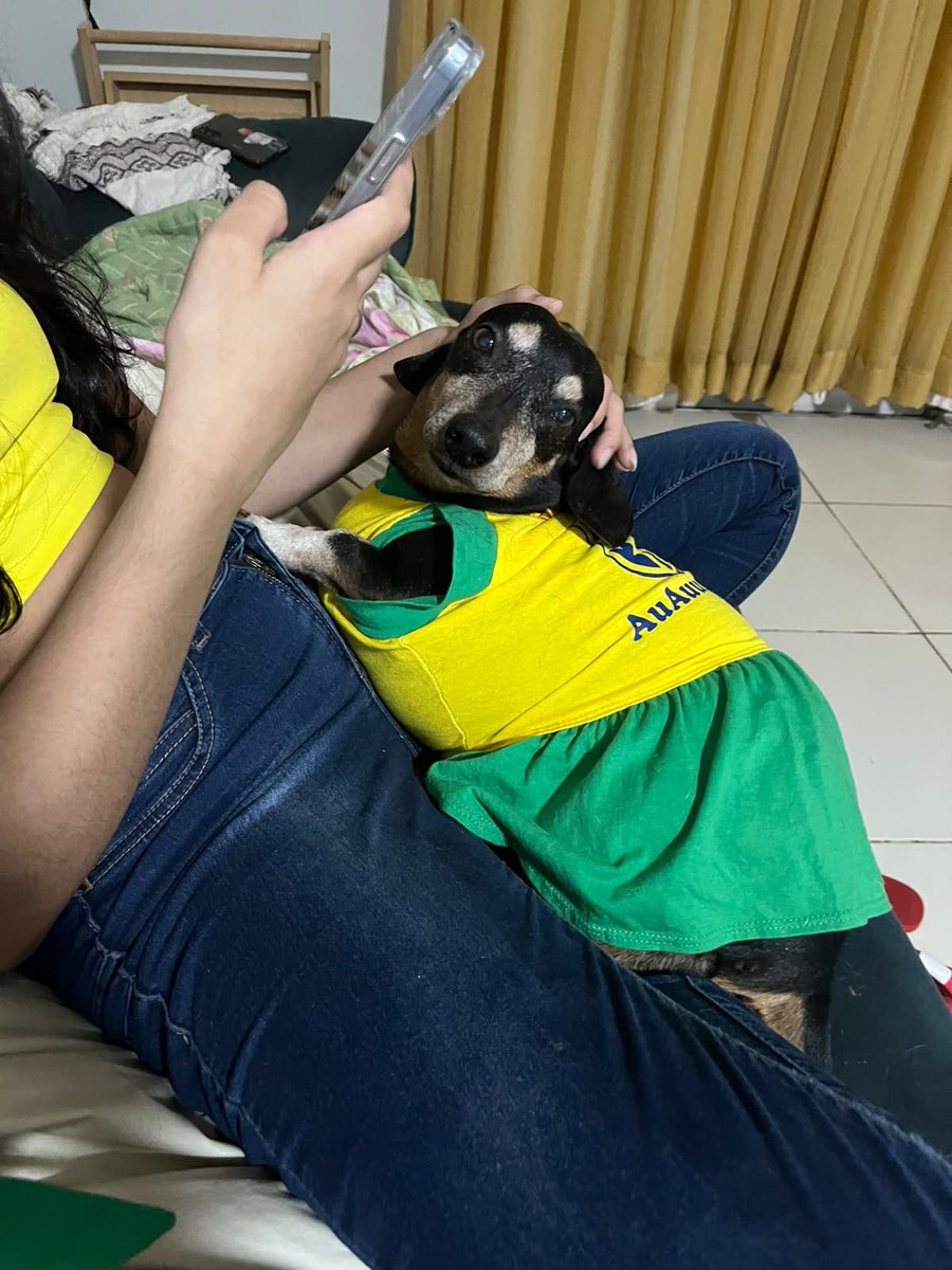 silveirarquivo's tweet photo. toda mimosinha https://t.co/Gc3RWS6AAt