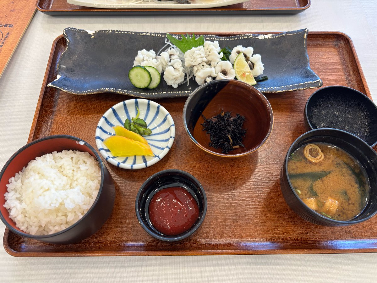 aiharaceramic's tweet photo. ハモのシーズンですね https://t.co/qVVlZhq0bt