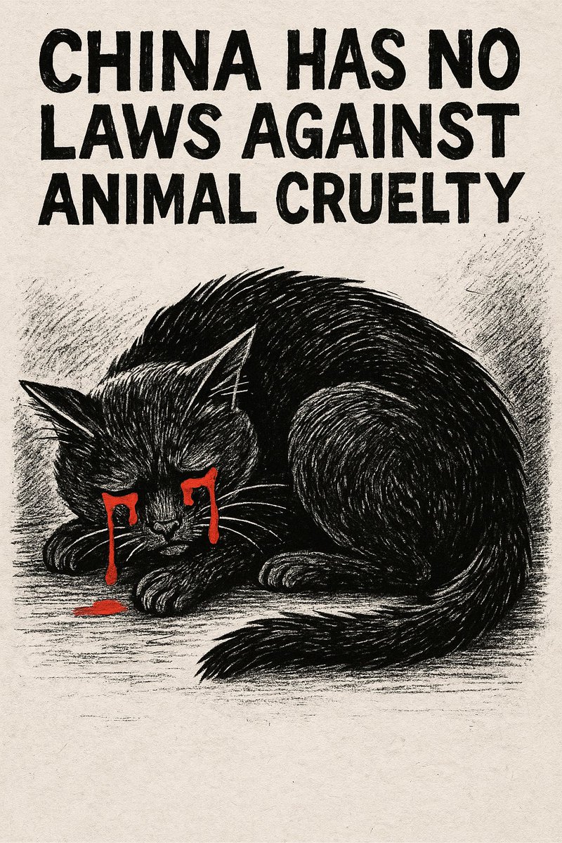 DallistheRed's tweet photo. Nothing has brought me greater disgust, distress and anguish than the existence, extent &amp; severity of cat torture in china. I did not know true hatred until I learned of it. It is like looking into hell itself. Every victim is worth more than all of China, never forget that. https://t.co/8LrEjtmEeR