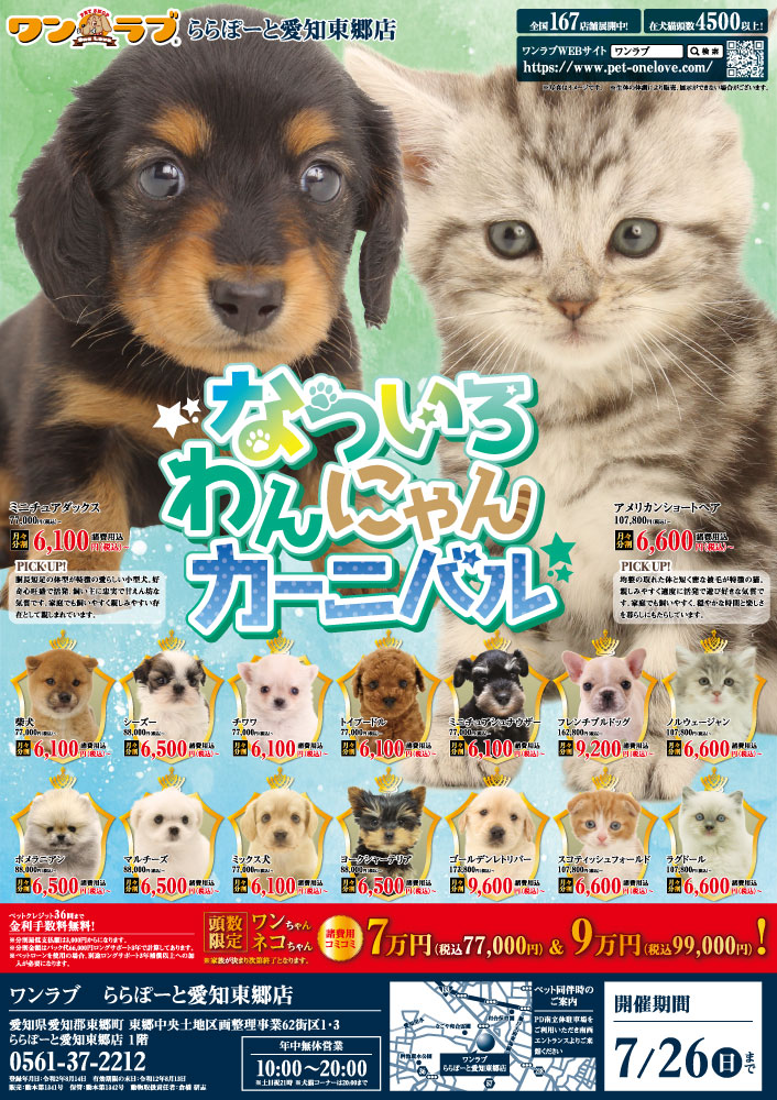 petonelove's tweet photo. 【なついろわんにゃんカーニバル!!】愛知県 ワンラブ ららぽーと東郷店 夏イベント開催！！7/11～7/26まで｜ワンラブグループ

https://t.co/TglT2hO3eL https://t.co/A2xlIeDORH