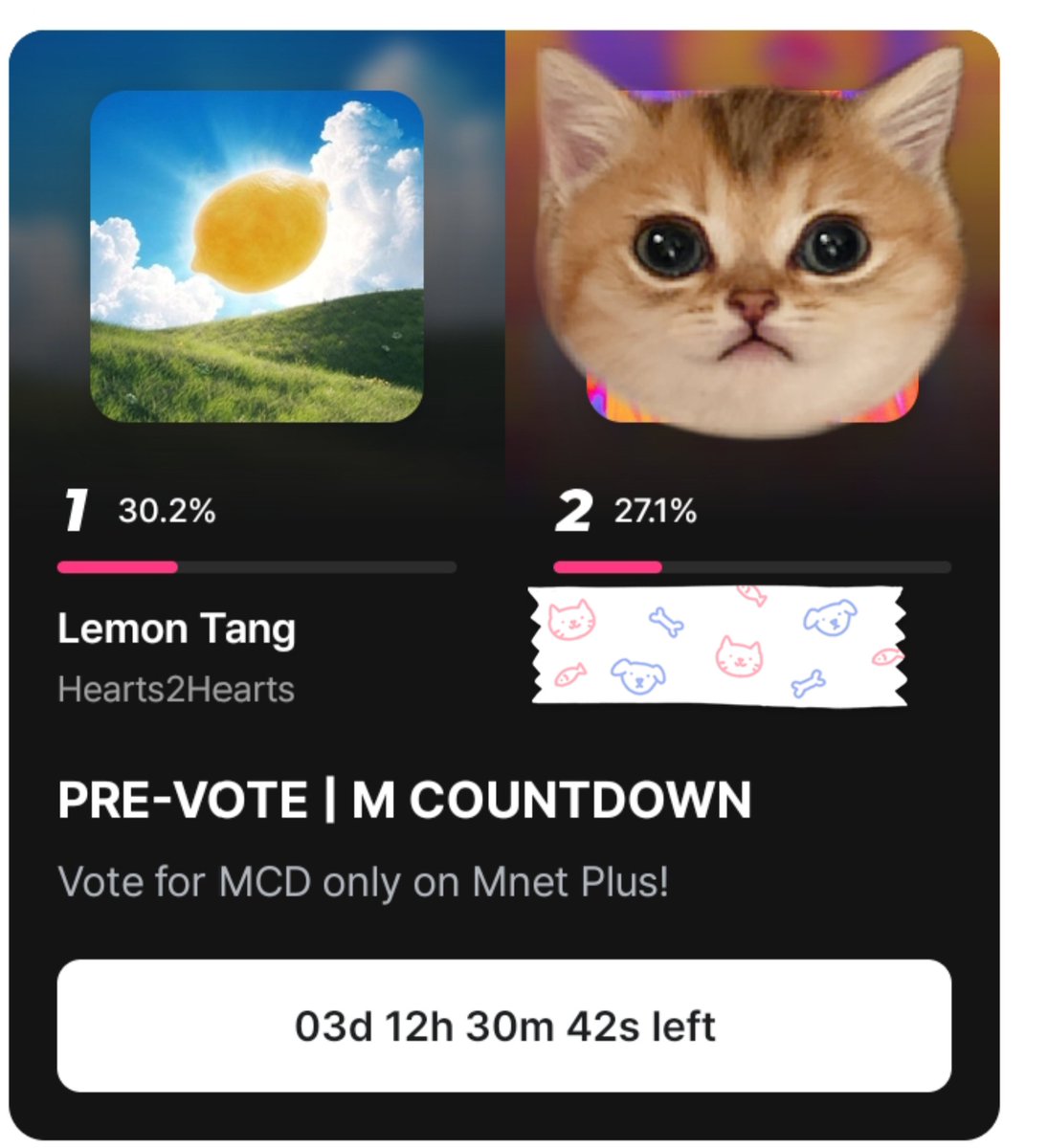 hell_obuddy's tweet photo. 🔊VOTE NOTIFICATION🔊
sekarang kita ada 2 prevote yang lagi berjalan, dan di kedua itu jika kita menang dengan gap besar kita punya kemungkinan untuk menang🔥🔥
Yukk langsung saja
1. Idol champ (tutup tanggal 13 juli)
Posisi sekarang : #5(kita harus menang prevote)

2. Mnet plus (tutup 14 juli)
Posisi sekarang : #1 (kita harus jauhin gap nya)

Yuk bisa yuk. Ini kesempatan besar untuk dapat trhopy tambahan sebelum kita fokus ke acara acara award nanti!!!

#Hearts2hearts #H2H #hachu #S2U