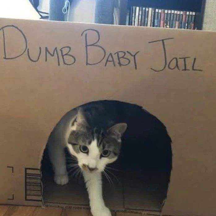 PunchingCat's tweet photo. https://t.co/uzwupKuFU5
