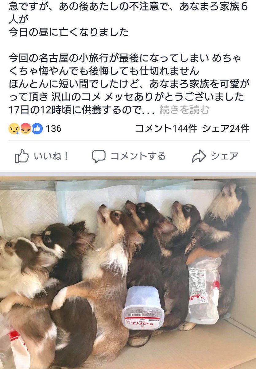 あな まろ 家族