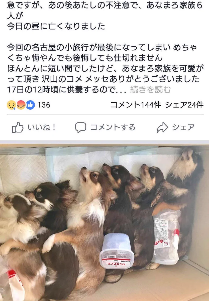 あな まろ 家族