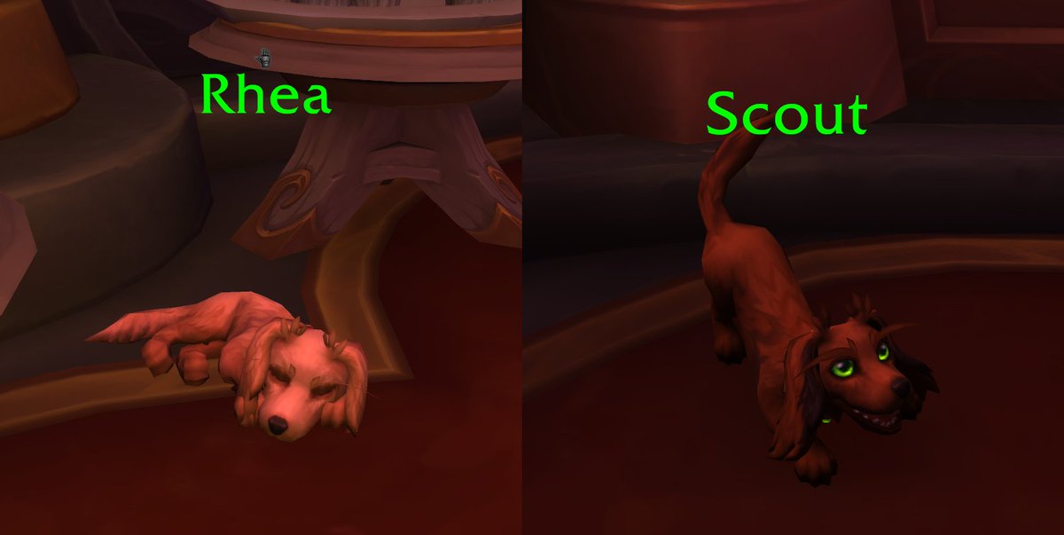 _Bjak's tweet photo. Its been a long week, but I remembered that since 12.0.7 you can go hang out with my dogs at the Pet Cafe in Silvermoon https://t.co/QPiwiuveRa