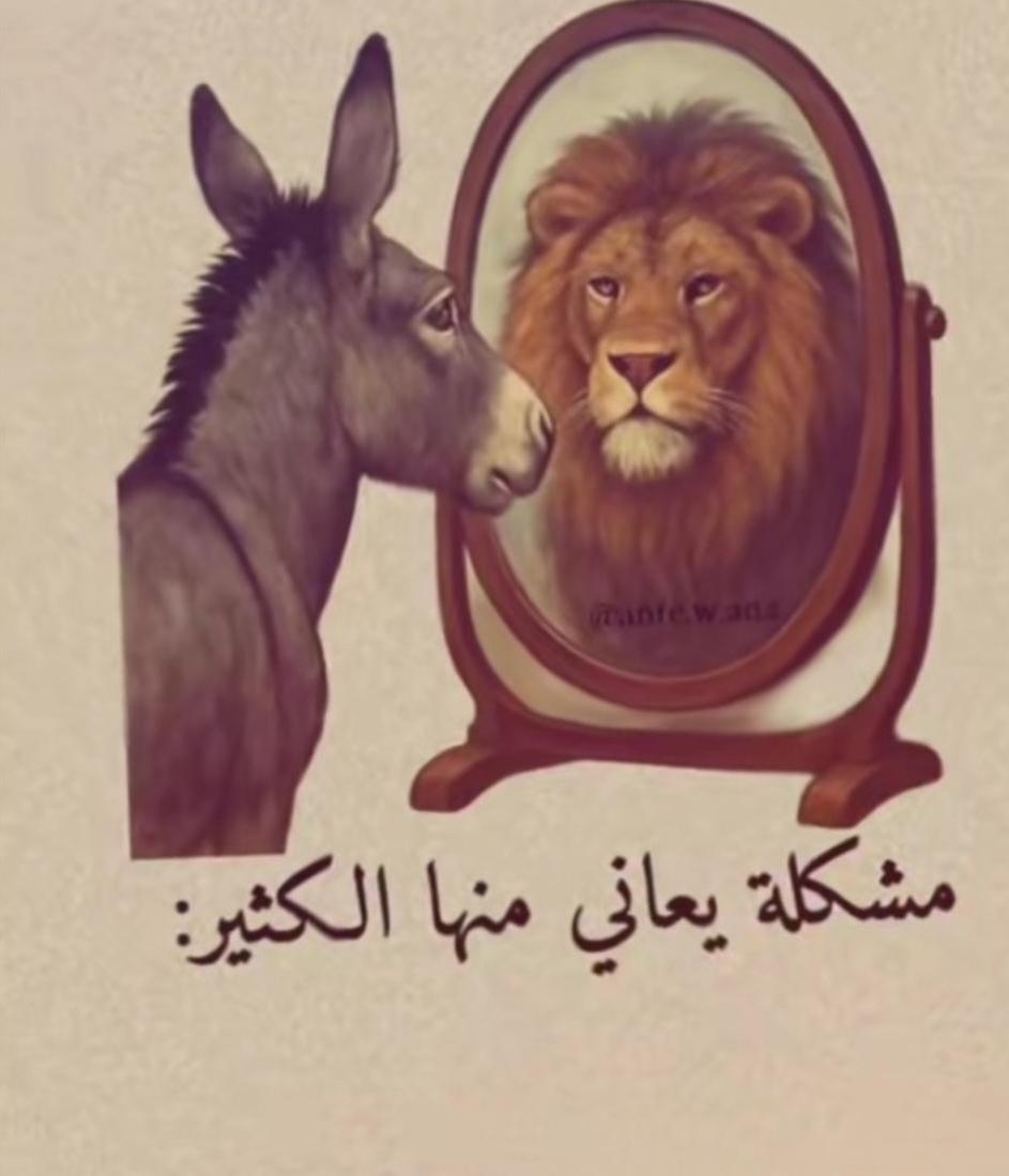 AdnanAlabse's tweet photo. @WAlkhaili النكف في الجوف اما انتم المكلف الجنوبي 👇👇👇 https://t.co/VbU4mhzzXO