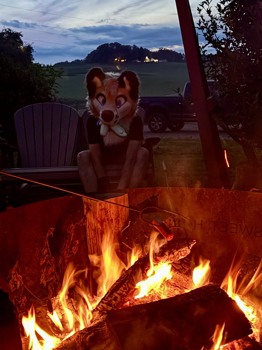 Acefoxmantrum's tweet photo. Wild fox came up to us while camping, he ate all the pickles >:(

🪡:@Frozencalico 

#Fursuiteveryday #Fursuit #Fursuitfriday https://t.co/ukwyz2fJod