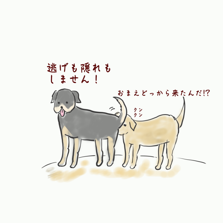 LoveNepalidog's tweet photo. オス犬は途中２か所で検問所があり😂
現地の村の犬により
検査され無事通行許可をいただきました

ヒトは嘘ついたり偽造したりするけどさ、
犬のこの匂い検問所は嘘がなく
一番信頼ができるようにも思えた😂 https://t.co/rqZLUyeue6