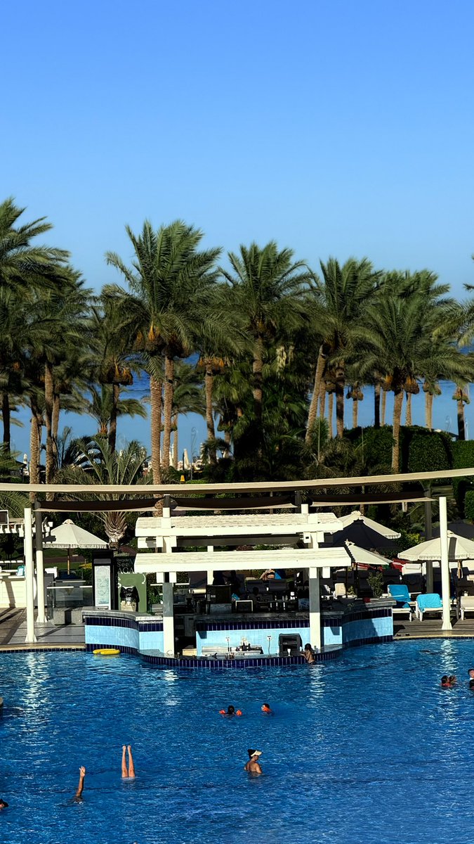 br_rawan's tweet photo. #IslandLife 🩵     #RedSea  🌊 https://t.co/X1V4JsbVUW