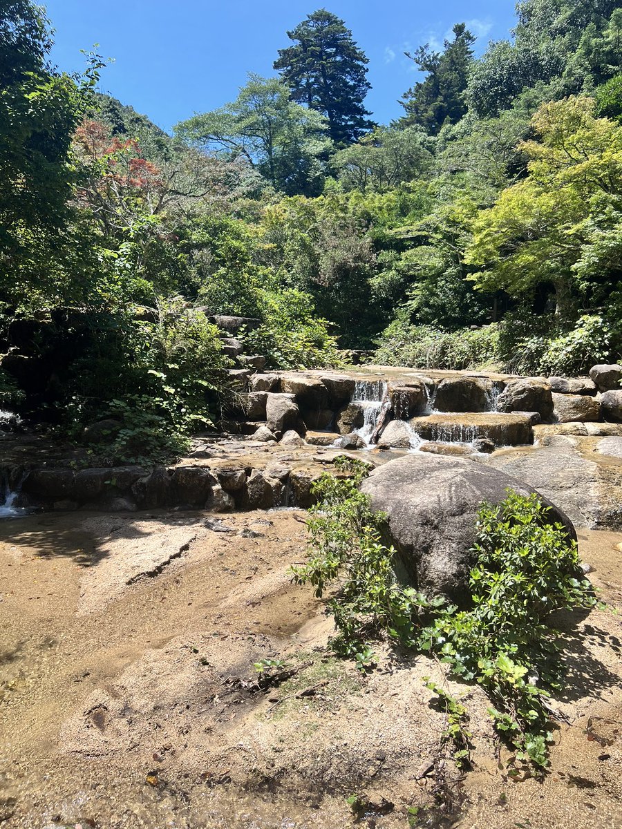 make9two's tweet photo. 今年は少し早めに、夏です https://t.co/ojIcmgOvh8
