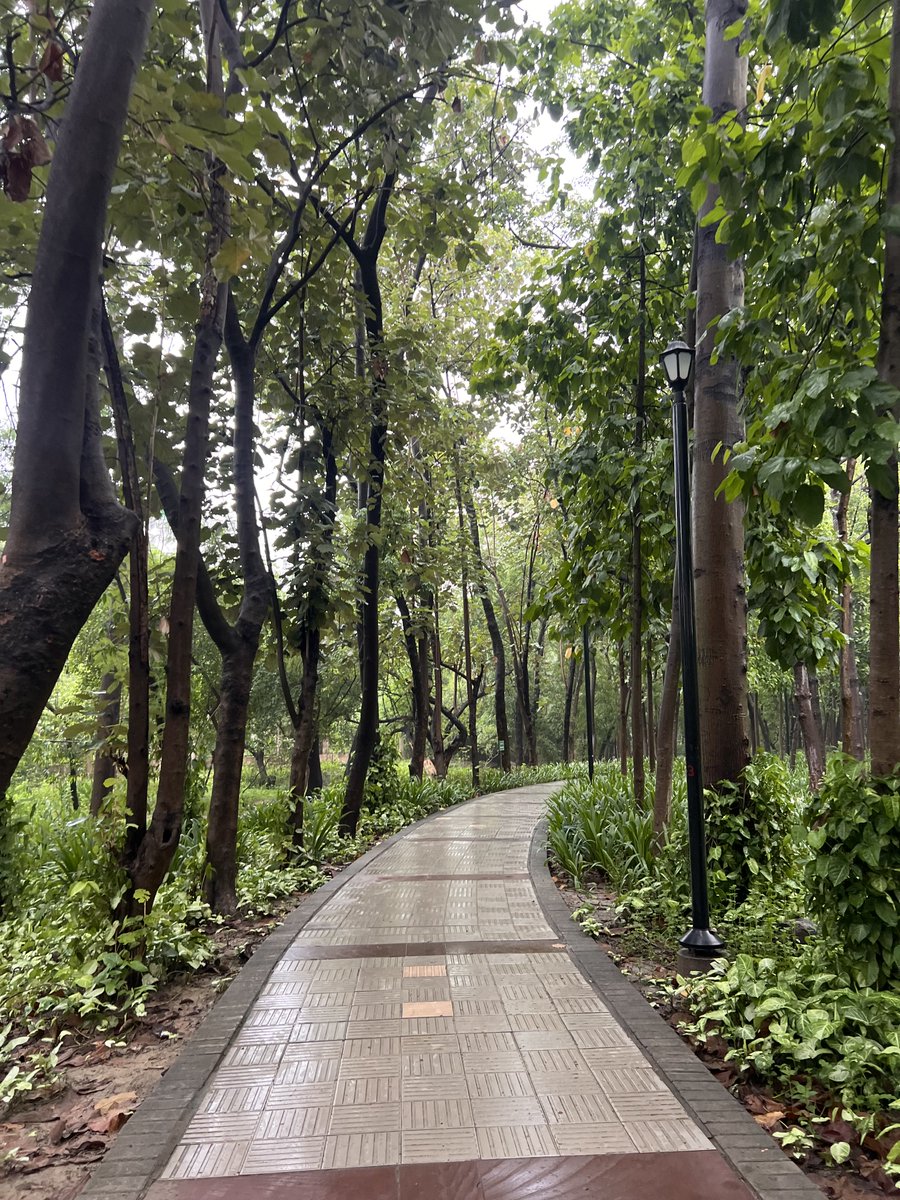 Fire_and_Move's tweet photo. Monsoon mornings ❤️💜 https://t.co/uUdQpRQox7