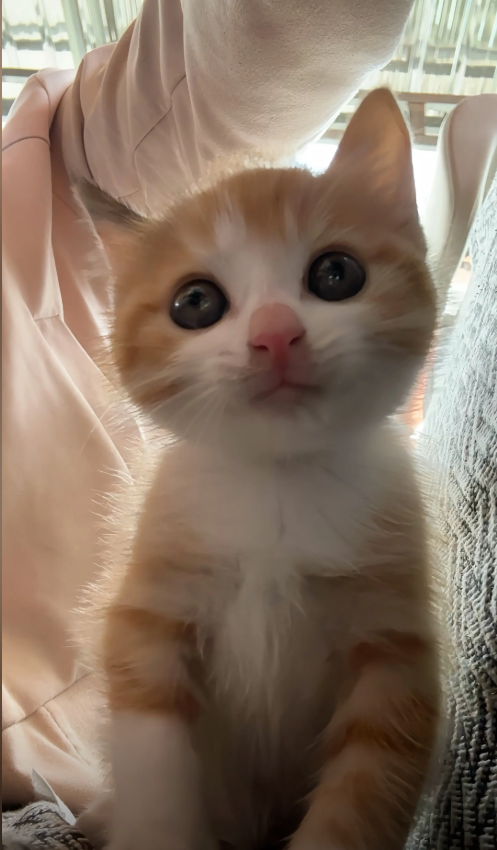 culAnimal's tweet photo. https://t.co/GyTVkKJQpq
