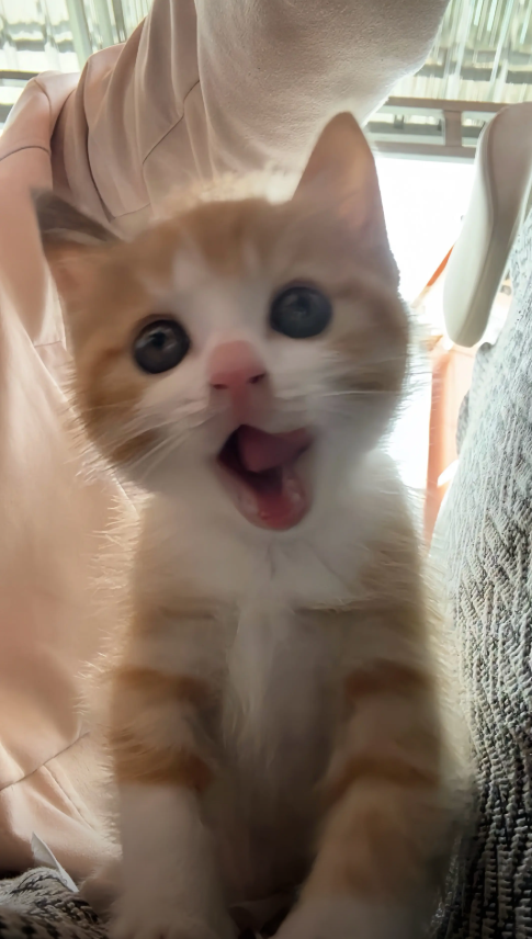 culAnimal's tweet photo. https://t.co/GyTVkKJQpq
