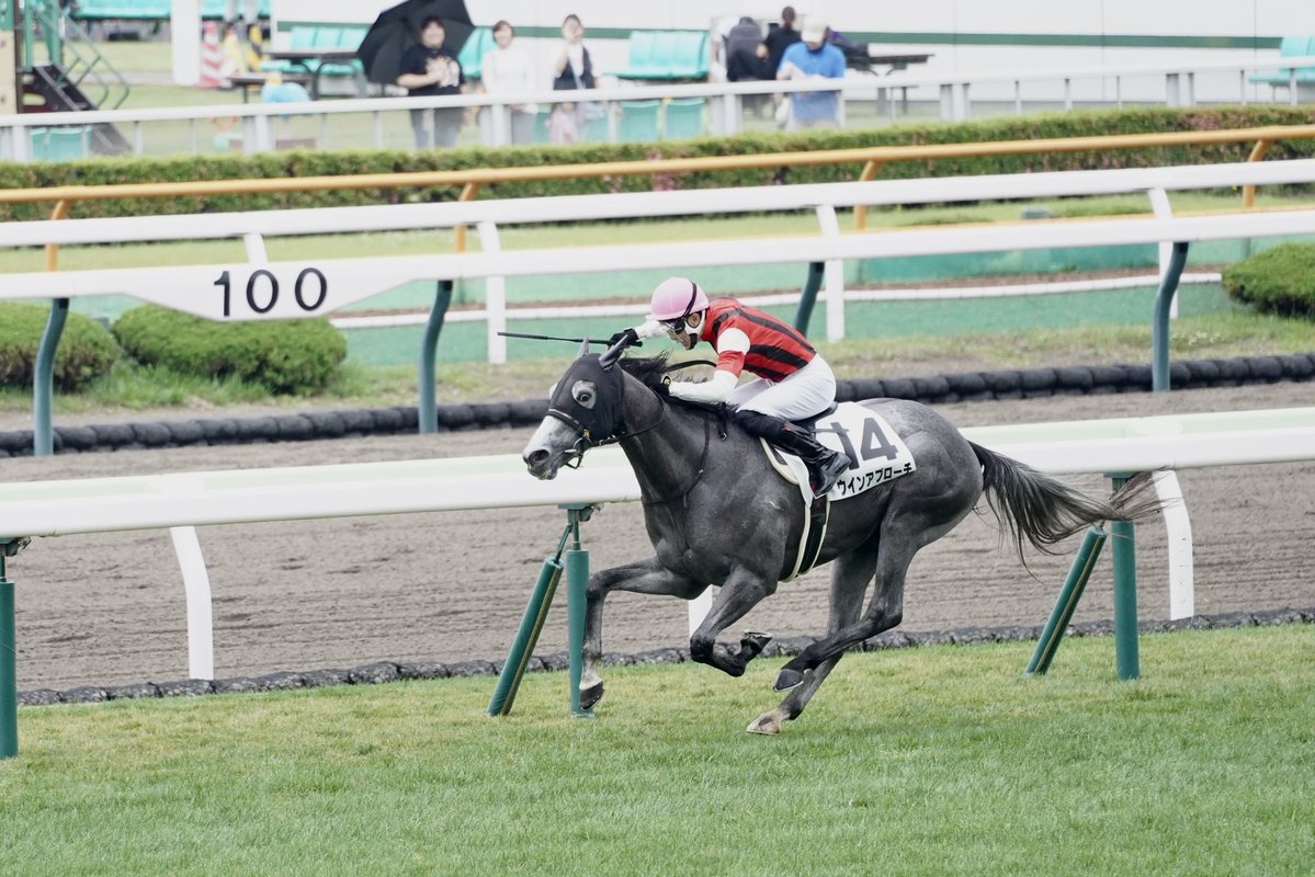 tsuba_dole's tweet photo. #ウインアプローチ

出資馬が初めて勝ちました！！！
口取りも出来ました！！！

丹内ジョッキー4連勝すごい⭐︎⭐︎⭐︎⭐︎ https://t.co/ILla5idG7V