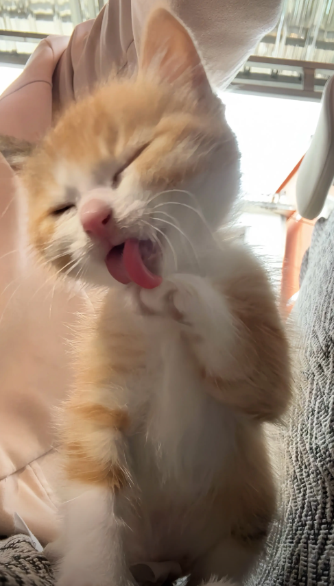 culAnimal's tweet photo. https://t.co/GyTVkKJQpq
